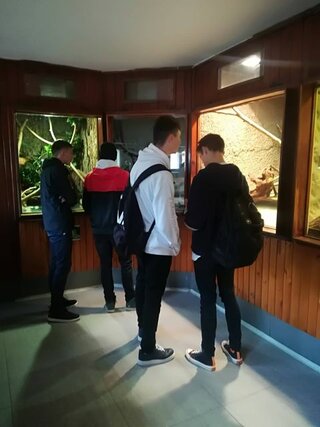 zoo6