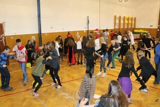 Img 4548