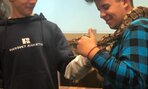 zoo7